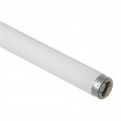 Lâmpada Fluorescente 16W T8 Osram Conf-640